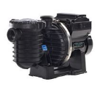 Pumps 7