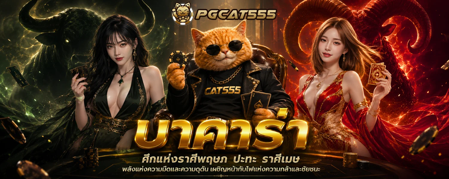 แบนเนอร์สรุปบาคาร่าออนไลน์